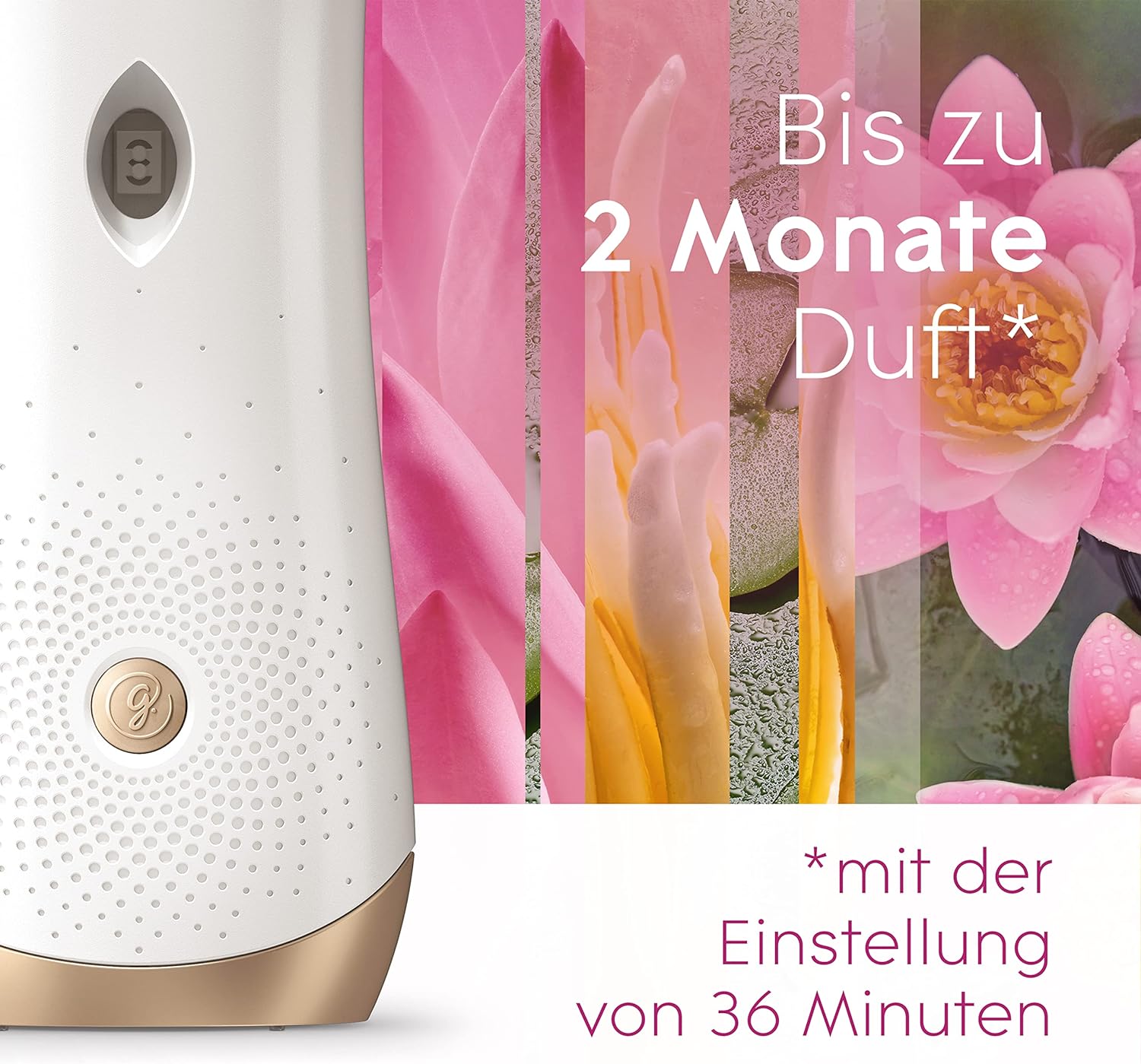 Glade Automatic Spray, Raumduft, Halter inkl. 1 Nachfüller 269 ml